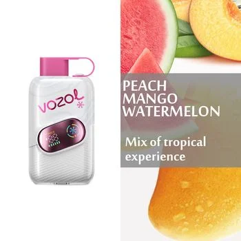 VOZOL STAR CLICK Peach Mango Watermelon